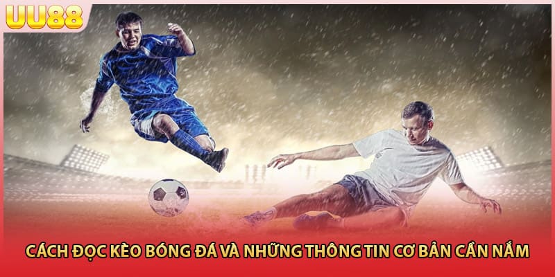 Cách Đọc Kèo Bóng Đá